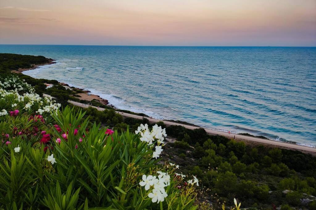 Apartamento Recien Reformado En Primera Linea Con Vistas A La Playa De La Almadraba 베니카씸 외부 사진